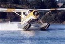 Ceago Wine Tasting Tour